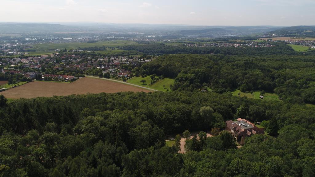 Bb Haus Neugebauer Garni Otel Geisenheim Dış mekan fotoğraf